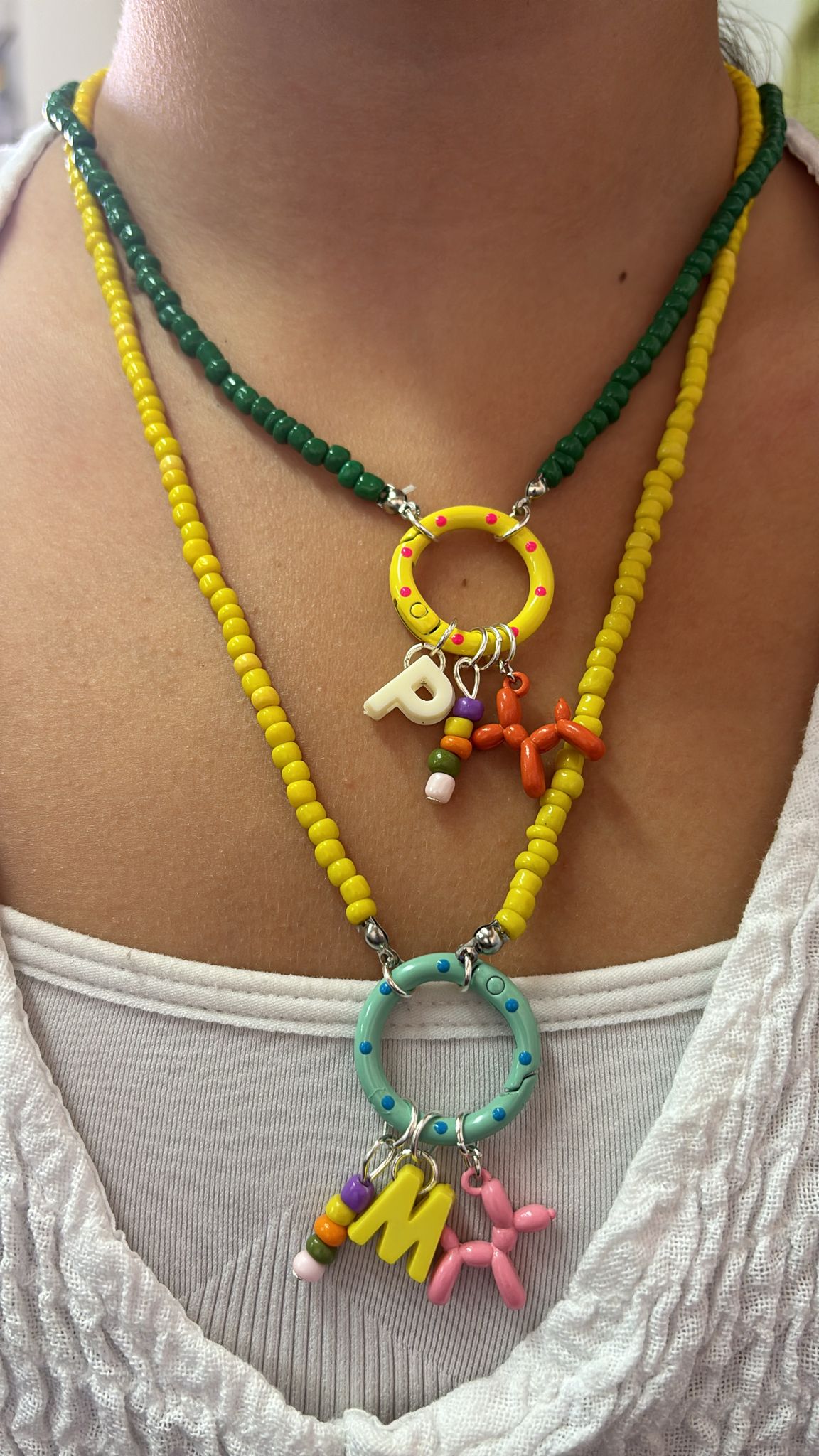 Collar perro