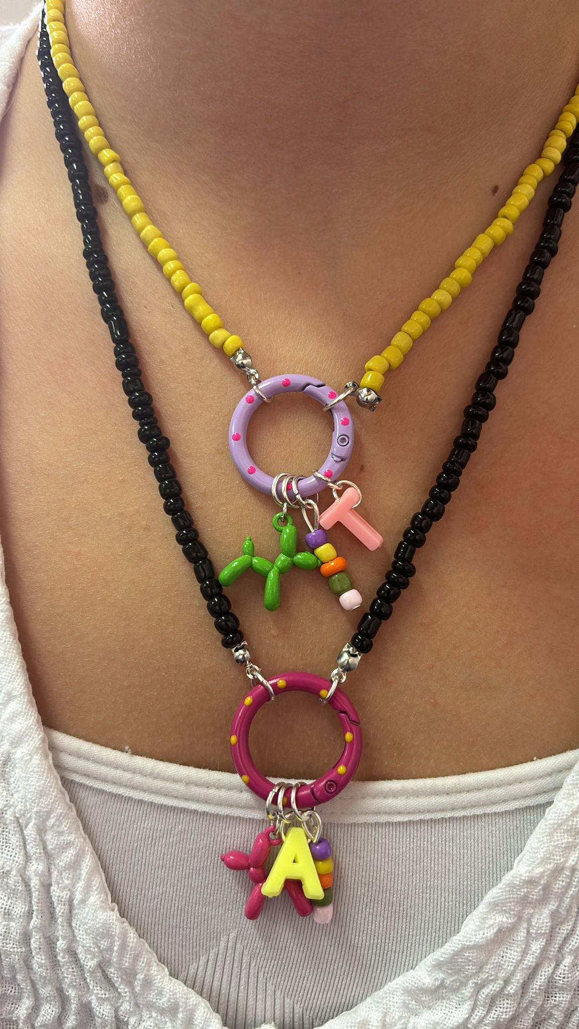 Collar perro
